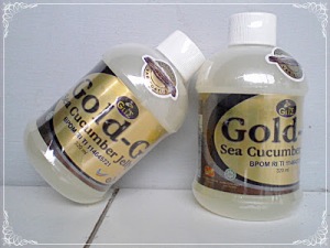 gold g sea cucumber